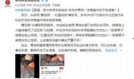 安庆碧桂园爆料事件视频,揭露项目背后惊人真相